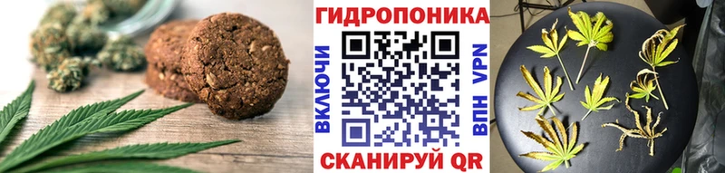 Canna-Cookies конопля  Купить закладки  Салехард 