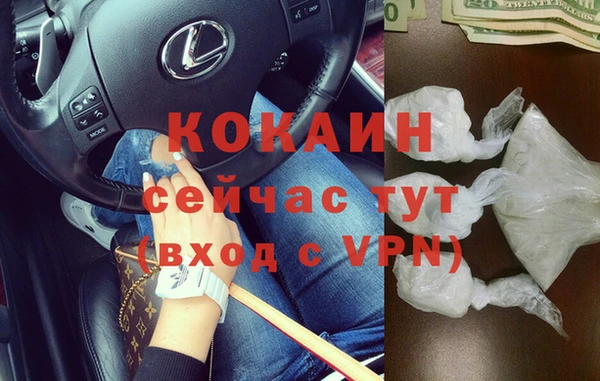 стаф Тобольск
