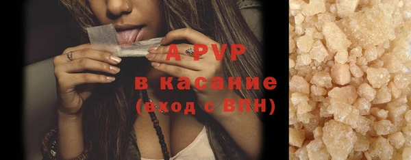 амф Дмитриев