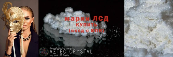 амф Дмитриев