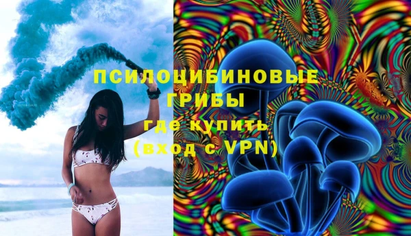 стаф Тобольск