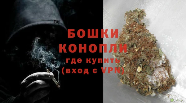 амф Дмитриев